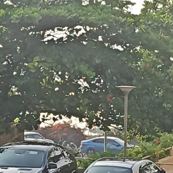 Cozy Private Ac Studio By The Sea Bandstand Bandra W Mumbai Nr Taj Lands End Lejlighed Eksteriør billede