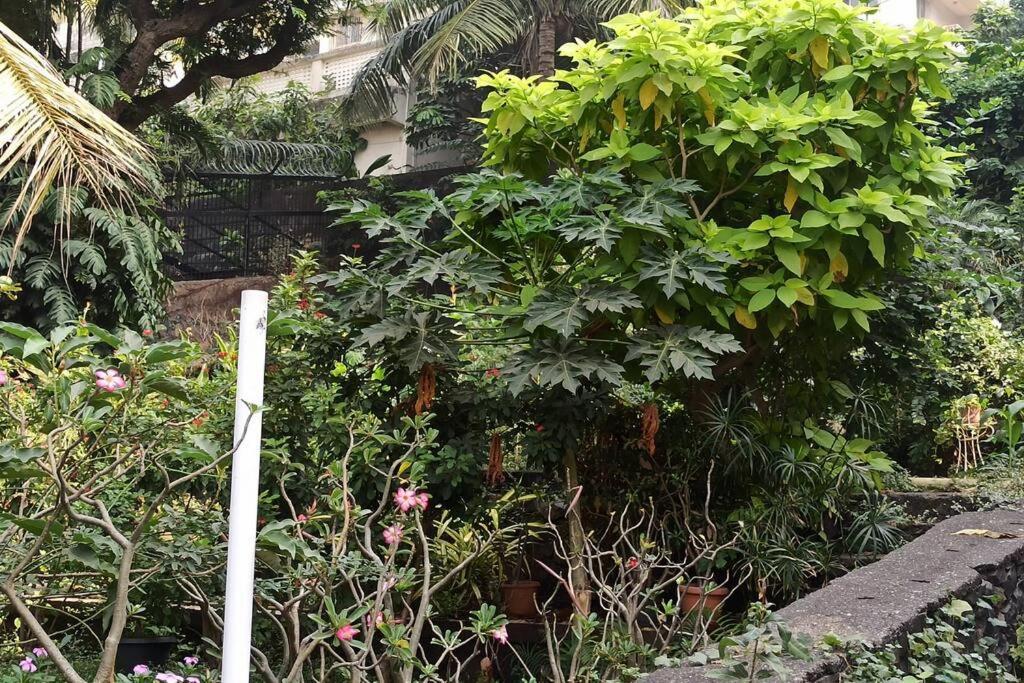 Cozy Private Ac Studio By The Sea Bandstand Bandra W Mumbai Nr Taj Lands End Lejlighed Eksteriør billede