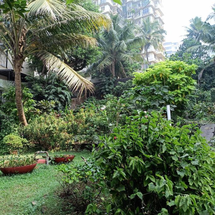 Cozy Private Ac Studio By The Sea Bandstand Bandra W Mumbai Nr Taj Lands End Lejlighed Eksteriør billede
